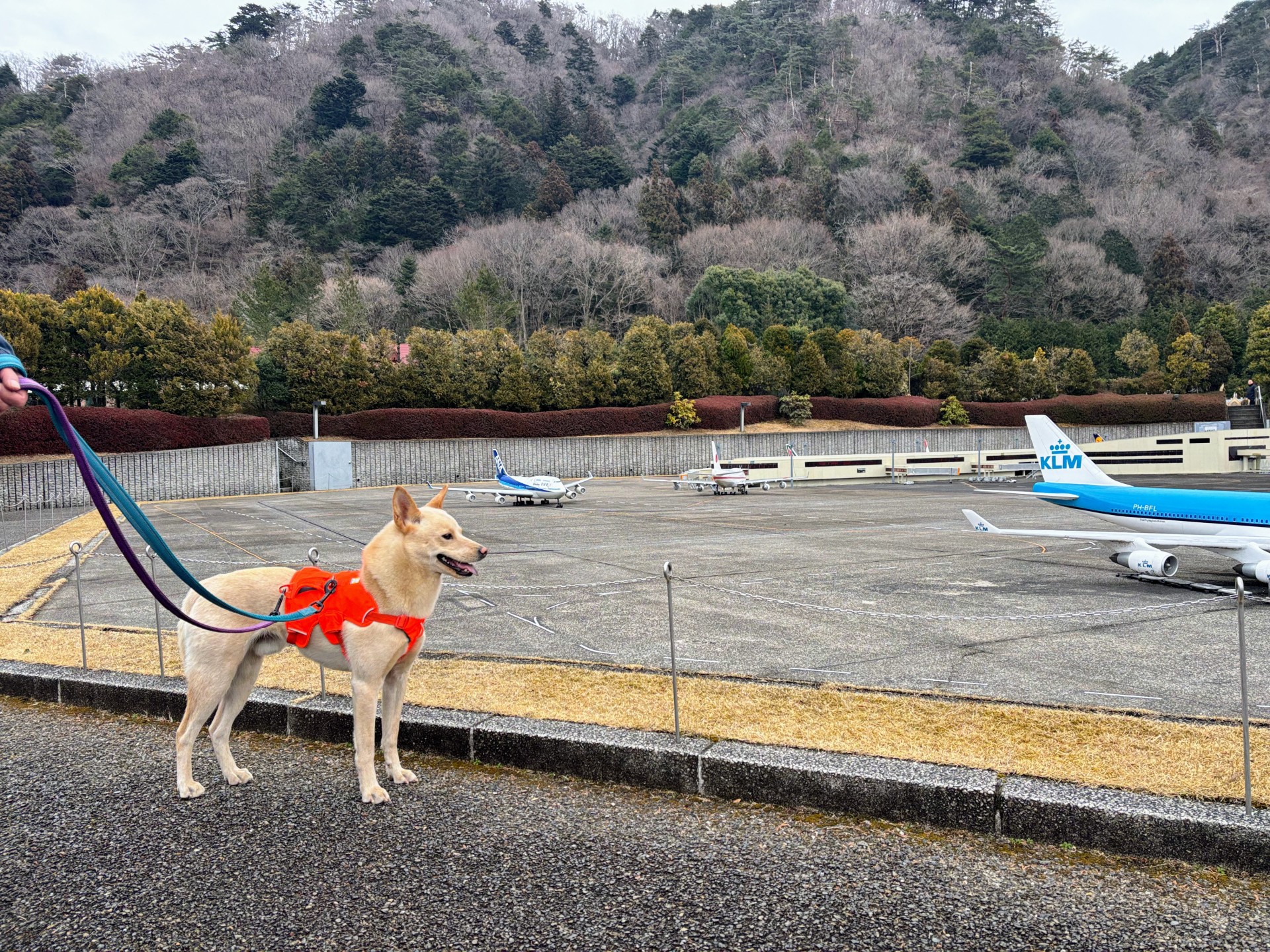 【2026年版】愛犬と楽しむ「東武ワールドスクウェア」｜愛犬とめぐる世界一周の旅レポ